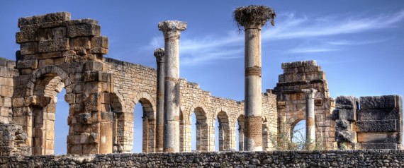 VOLUBILIS-large570