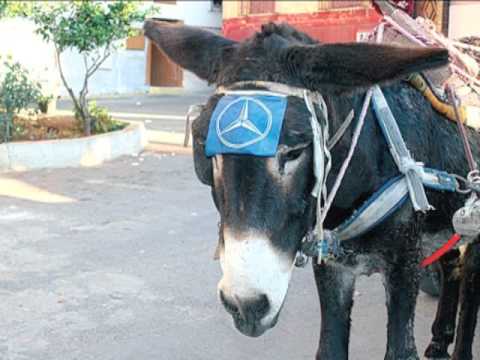 Maroc-Insolite