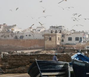 essaouira10