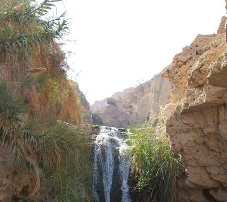 Israel_-_Ein_Gedi_Waterfalls_001