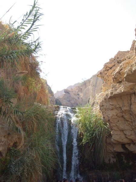 Israel_-_Ein_Gedi_Waterfalls_001