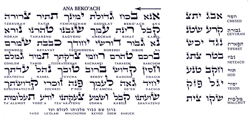 ana-becoach-1