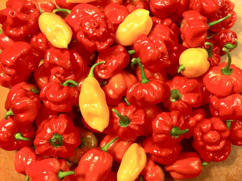 super-hot-peppers