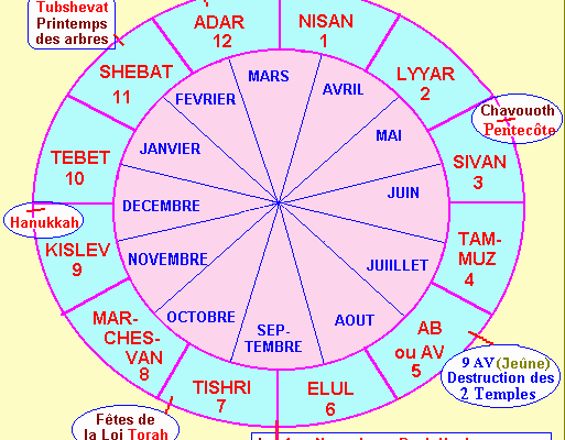 caljuif
