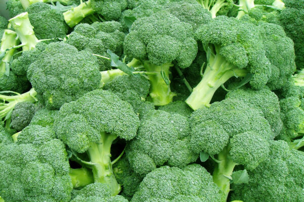 Broccoli