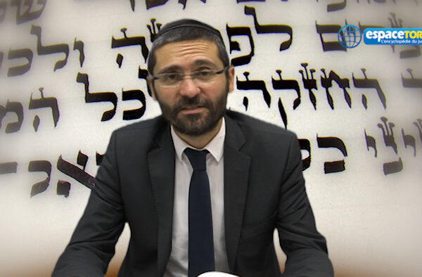 paracha-rav-haccoun