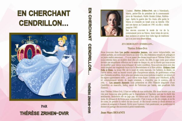en-cherchant-cendrillon-couverture