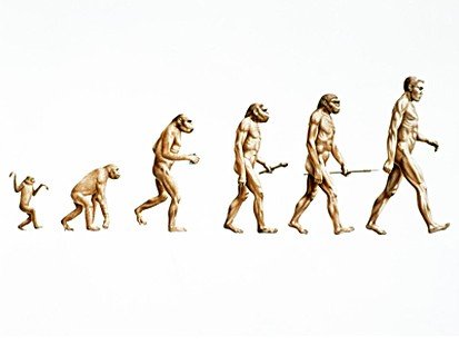 missing_link_fossil_discovery_l