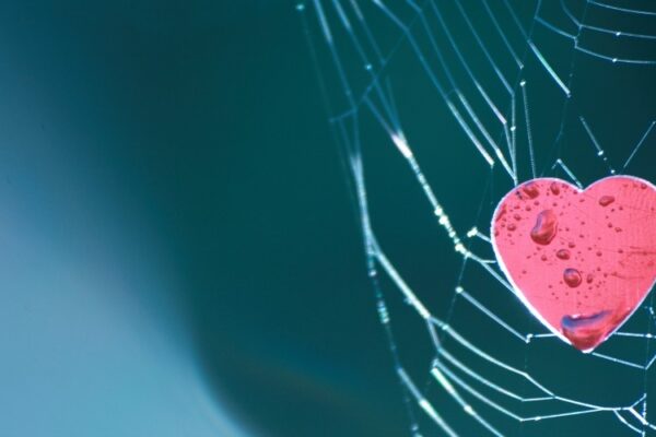 En amour, la chance n’existe pas, elle se provoque coeur_2