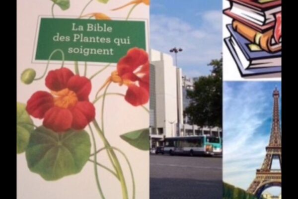 plantes