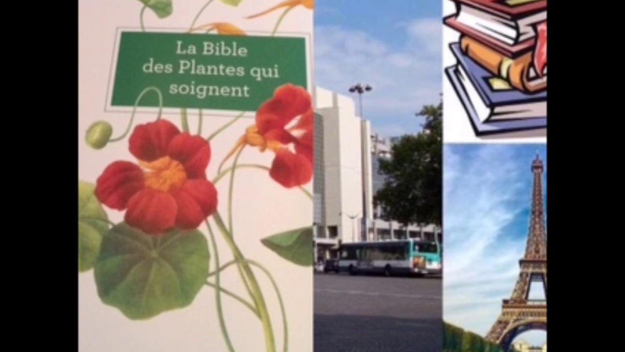 plantes