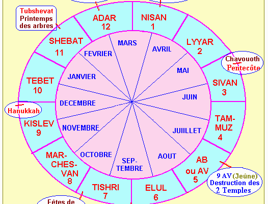 caljuif