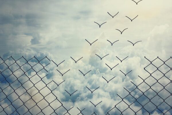 freedom