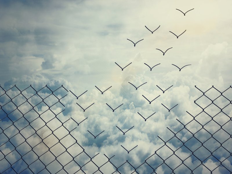 freedom