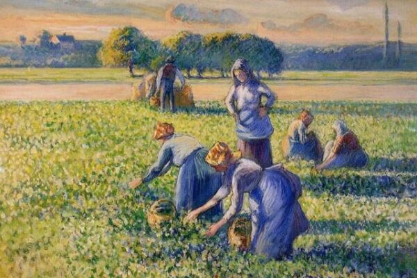 un-tableau-de-pissaro-restitue-aux-descendants-d-un-juif-spolie-par-le-regime-de-vichy