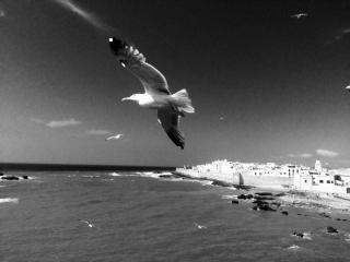 mogador1