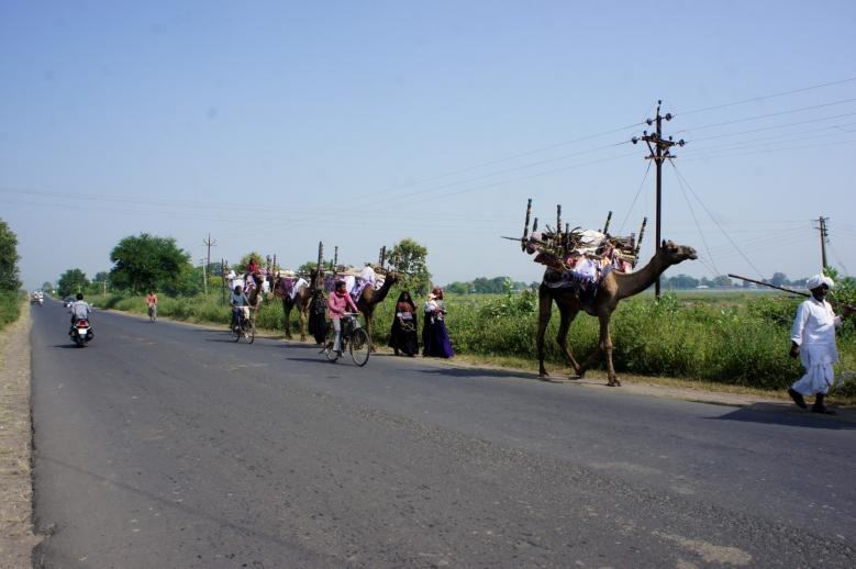 tzigane