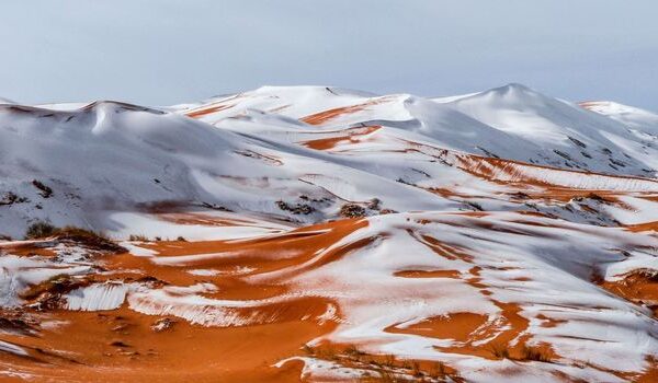 neige-sahara