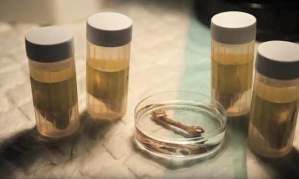laboratoire_os