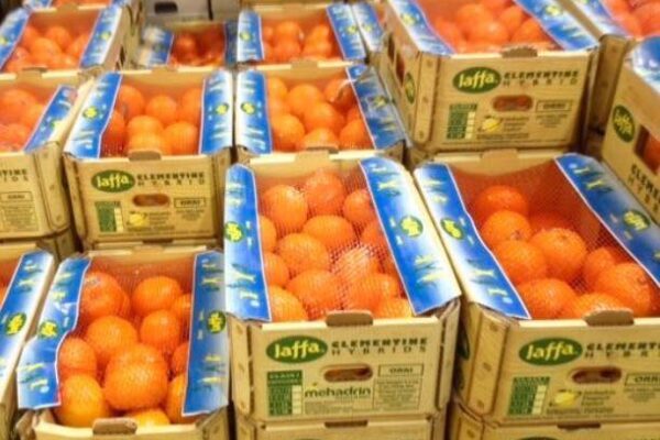 oranges-jaffa