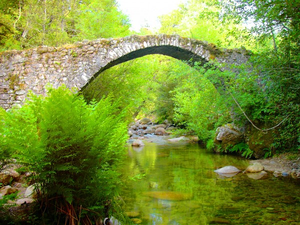 pont-baudinard-sur-verdon-m