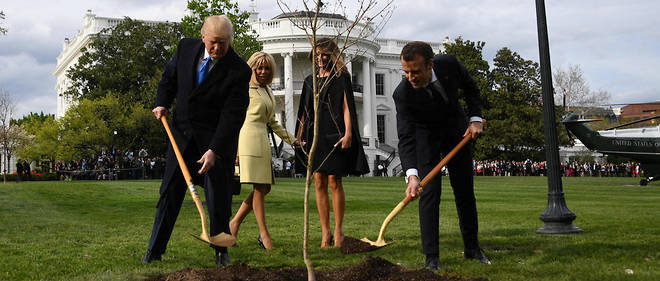 arbre-usfrance