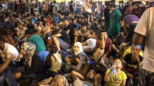 migrants