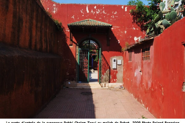 zaoui-syna