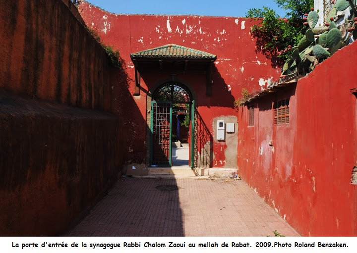 zaoui-syna