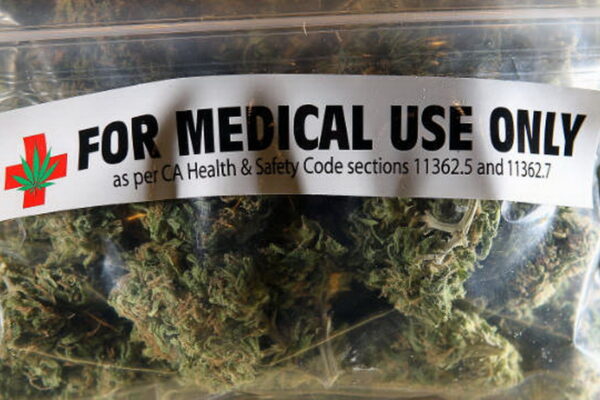 cannabis-loi-consommation-medicale-plantation-02