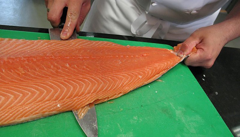 salmon-749098_640