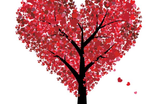 amour