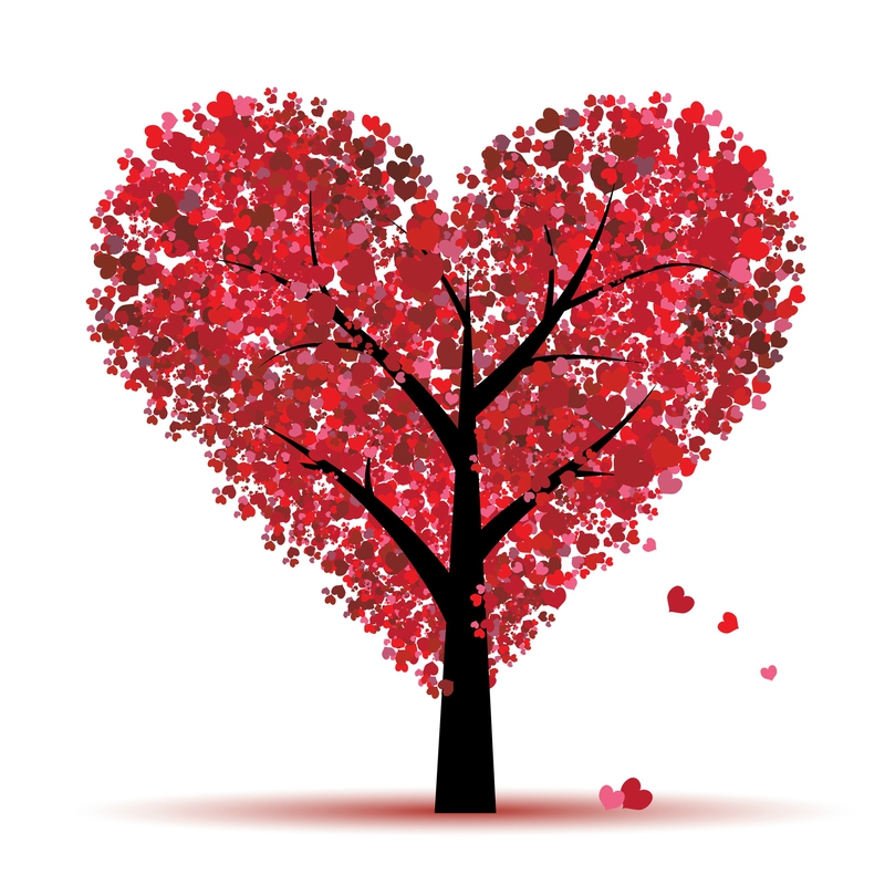amour
