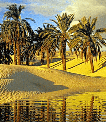 Maroc, sur la route des oasis oasis