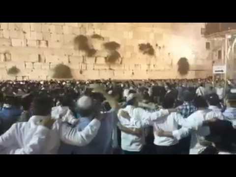 kotel-eloul