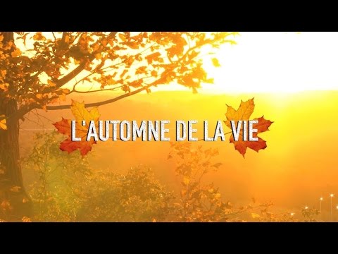 automne-vie
