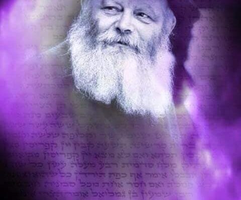rabbi-schneerson1