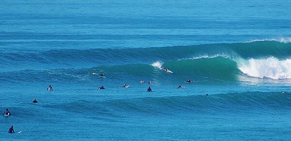 surf
