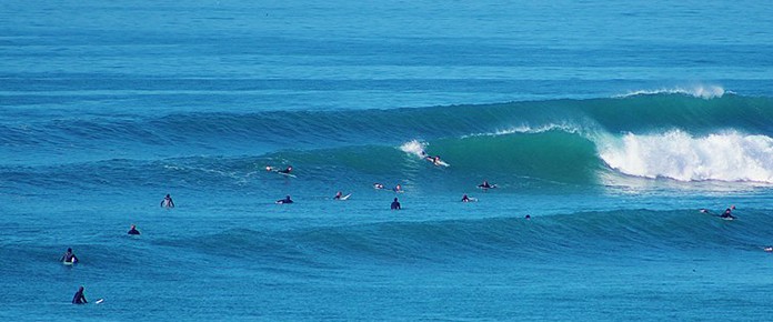 surf