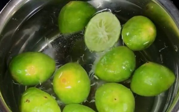 Recette au citron vert pour perdre 5 kilos en 9 jours? citron-vert