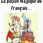 langue-franc3a7aise1