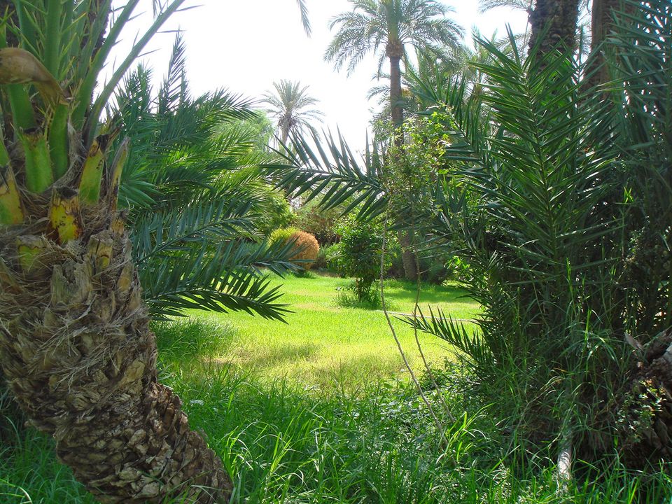 taroudant