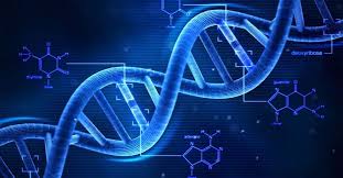 dna