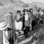juifs-terre-arabe