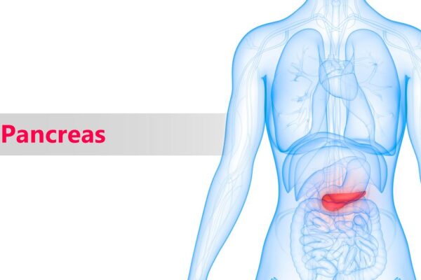 cancer-pancreas