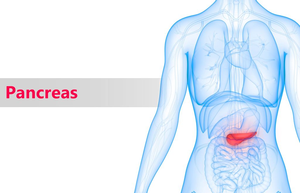 cancer-pancreas