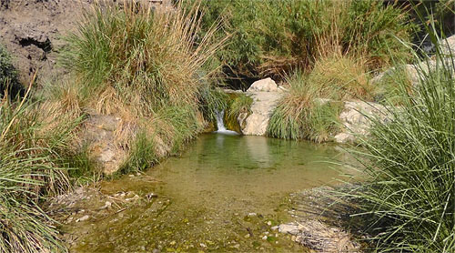 ein-guedi