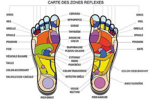 zones-réflexe-plantaire