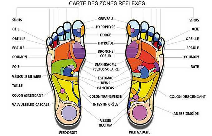 zones-réflexe-plantaire