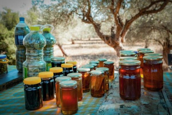 miel-sans-abeilles